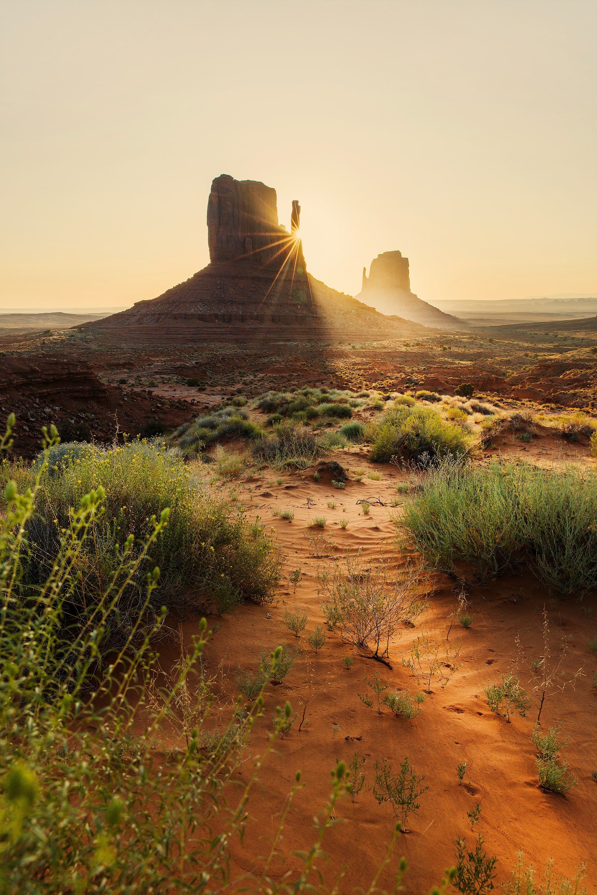 green grass on brown sand during daytime